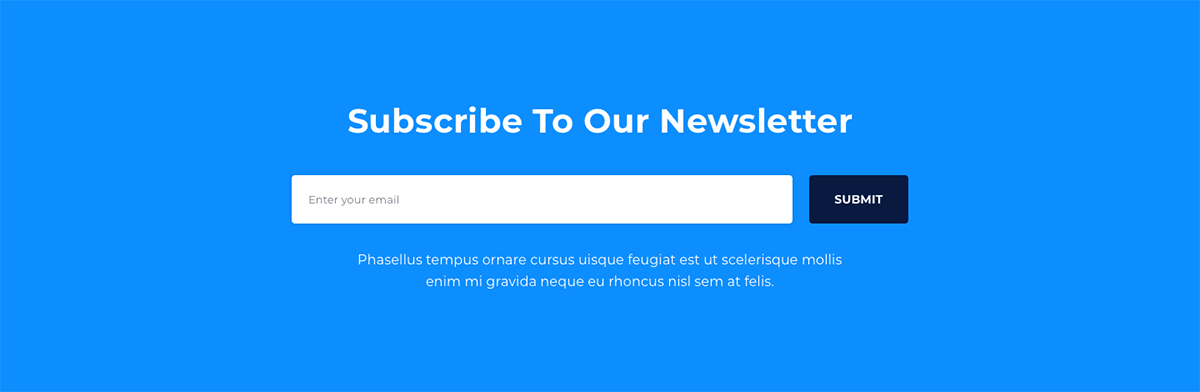 Form Newsletter
